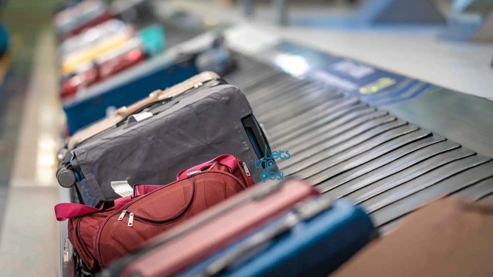 Baggage allowance flightinfo