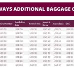 Baggage fee avoid smart tarafdar tania curlytales